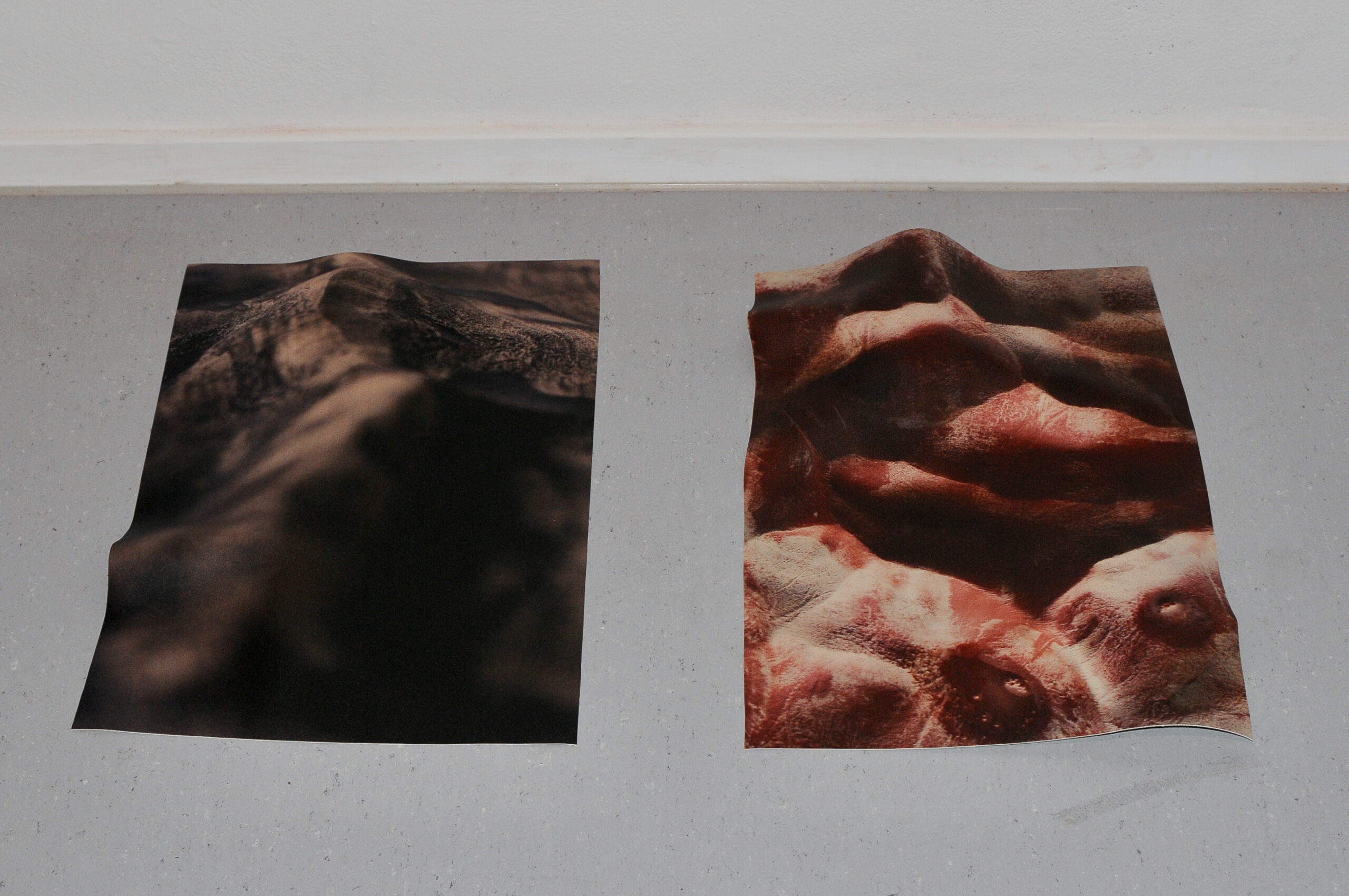 artworks by Laura Mahnke