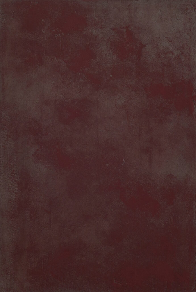 Artwork by Laura Mahnke: The Constitution - RED