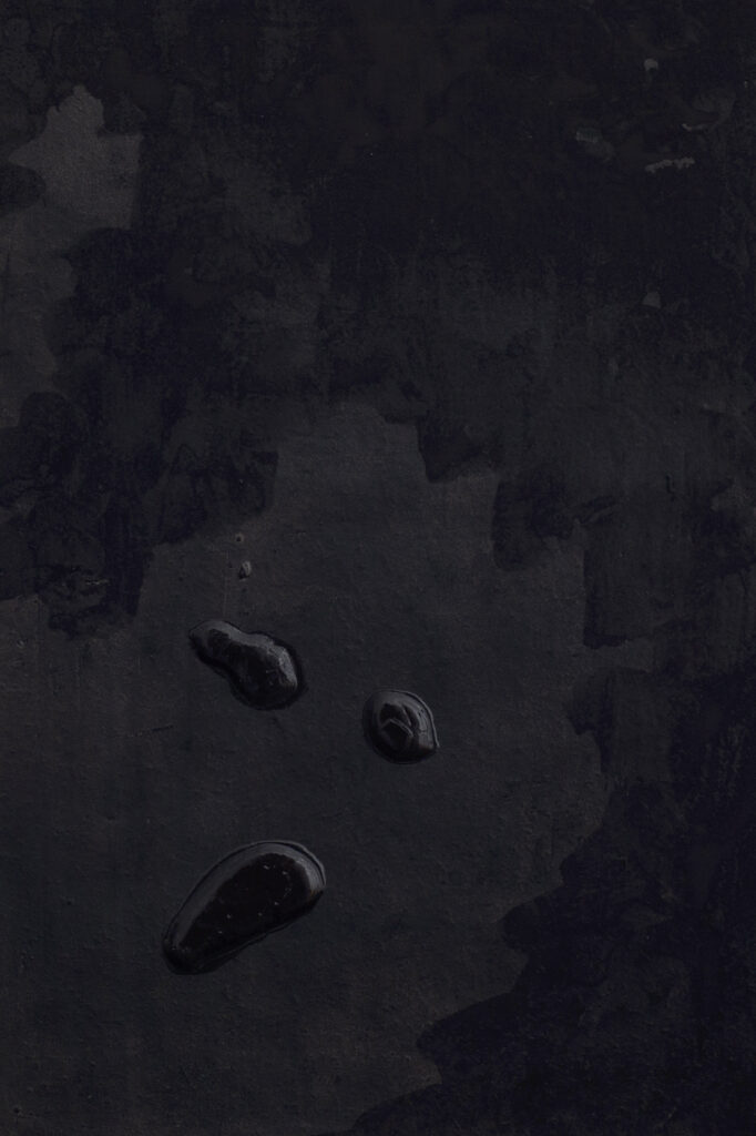 Artwork by Laura Mahnke: The Constitution - BLACK