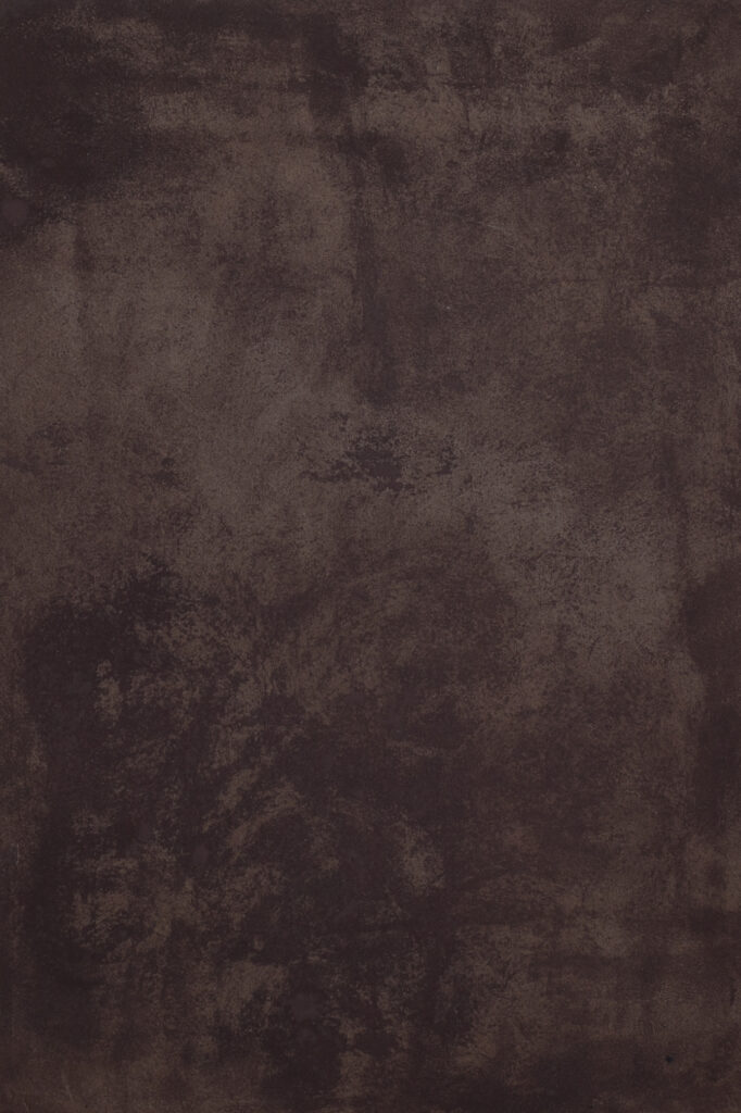 Artwork by Laura Mahnke: The Constitution - BROWN