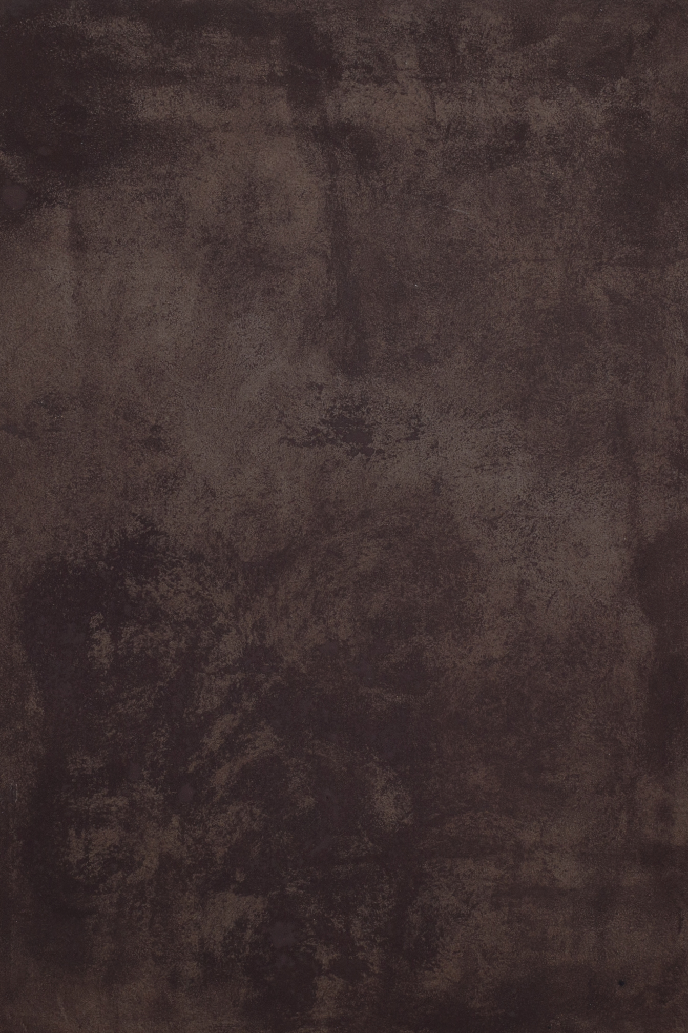 Artwork by Laura Mahnke: The Constitution - BROWN