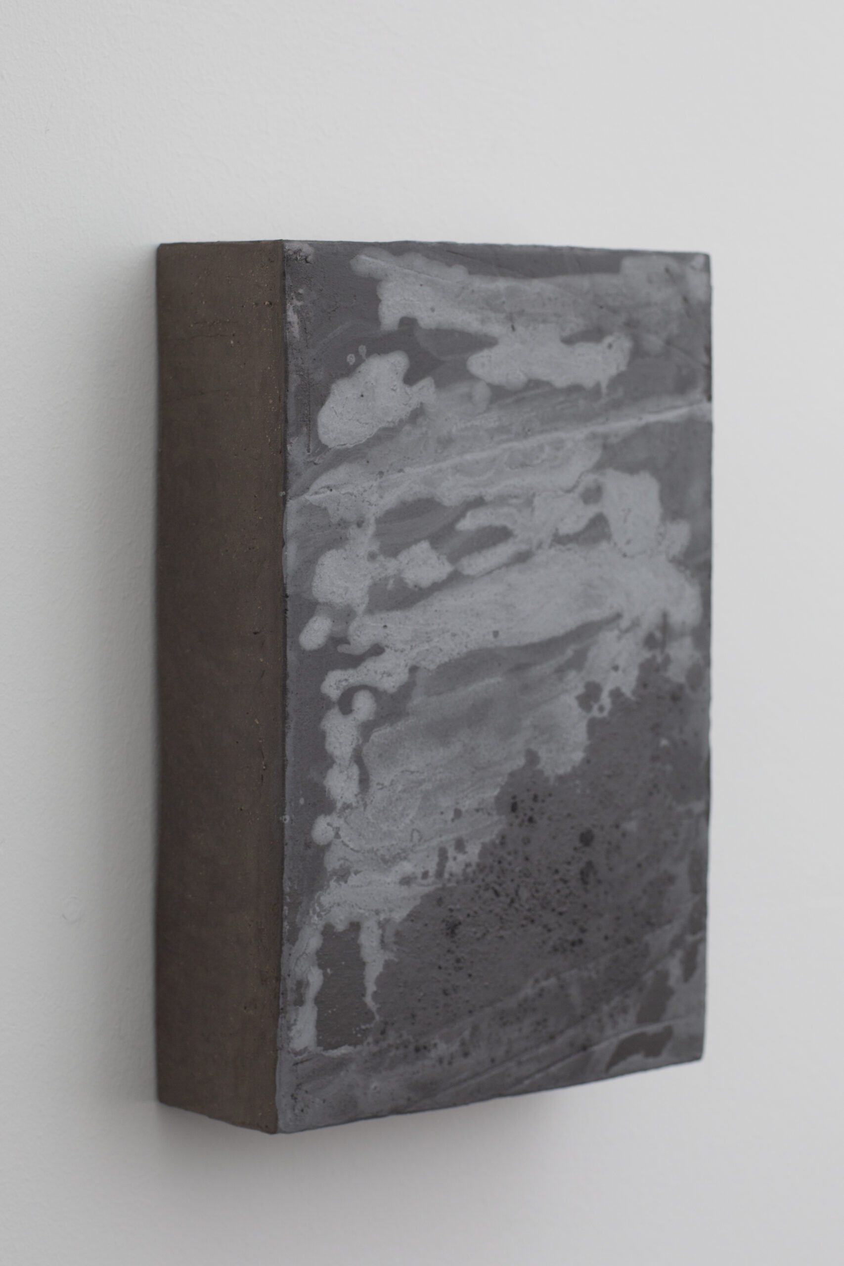 Artwork by Laura Mahnke: The Constitution - SILVER, 2025