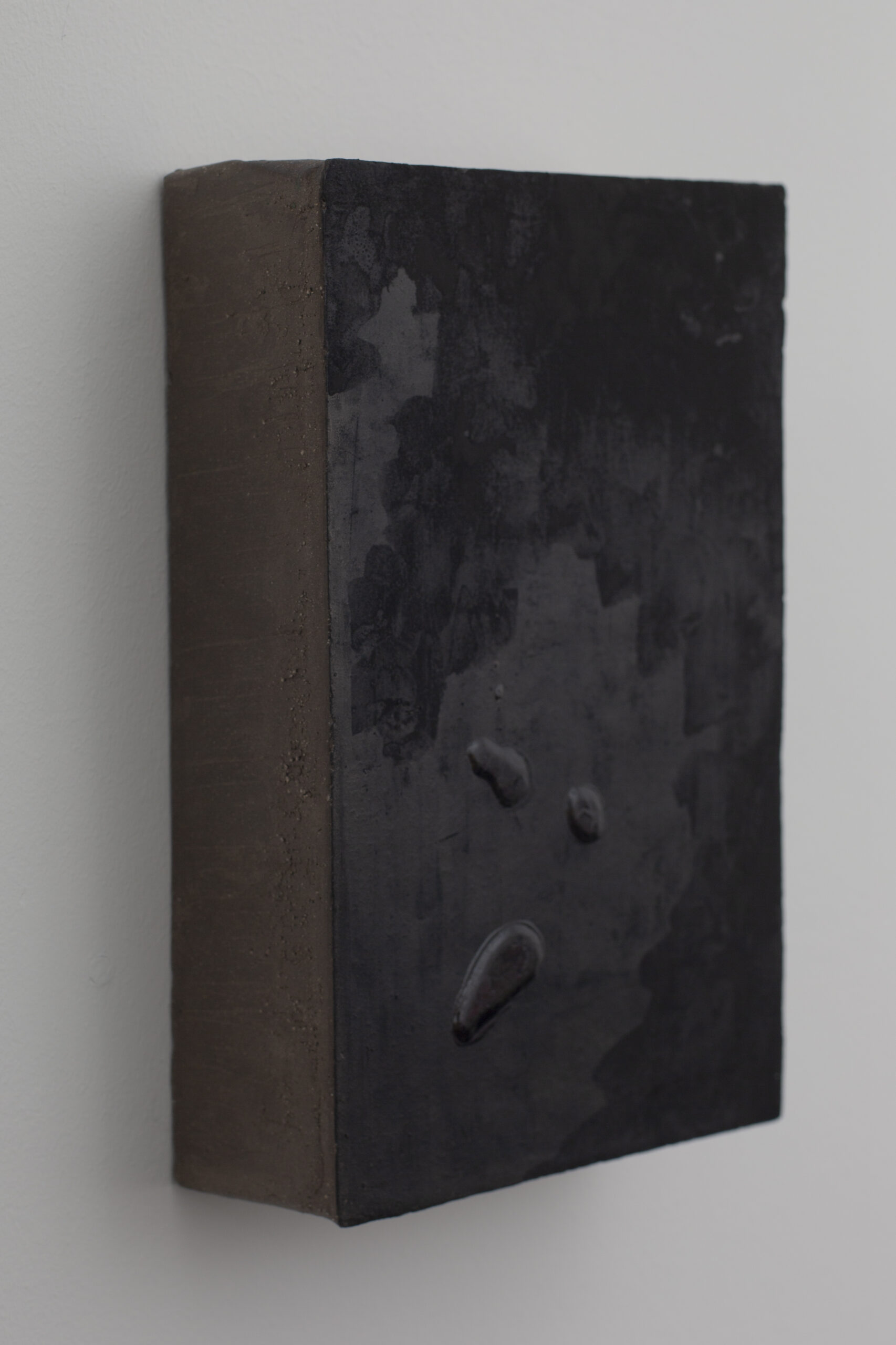 Artwork by Laura Mahnke: The Constitution - BLACK